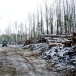 Завершен третий этап реализации проекта «Леса Вологодчины: устройство лесозаготовок»