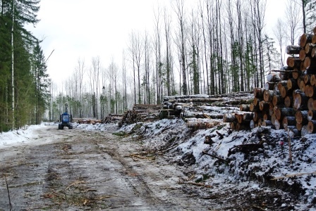 Завершен третий этап реализации проекта «Леса Вологодчины: устройство лесозаготовок»