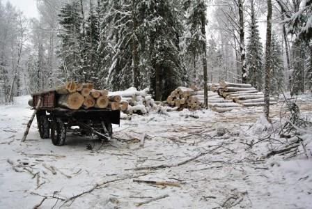 Завершен второй этап проекта «Леса Вологодчины: устройство лесозаготовок»